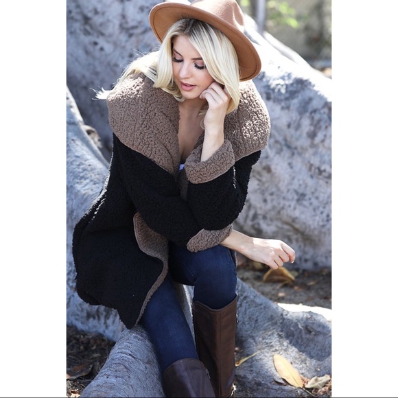 5⭐️🎉HP🎉BEST Reversible Faux Fur Coat - Picture 3 of 8
